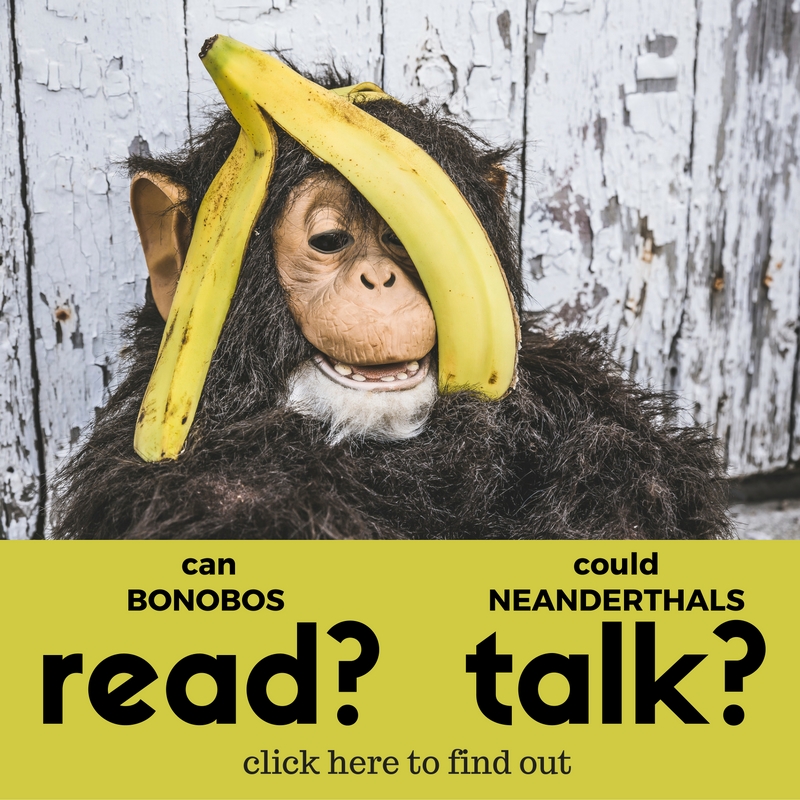 can BONOBOS J.D. Brewer Books